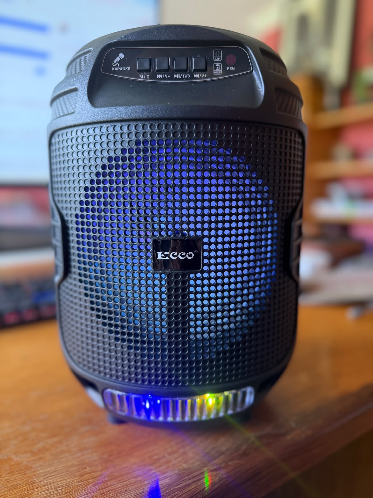 ECCO Portable Outdoor Bluetooth Party Speaker